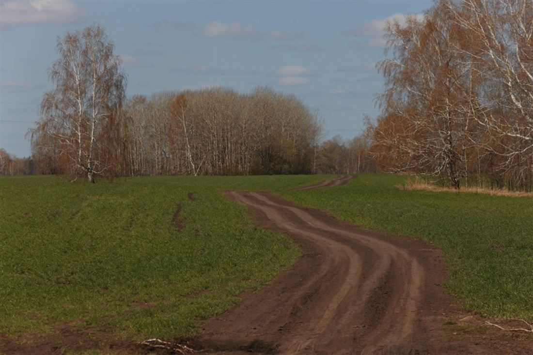 Погода уртам томской