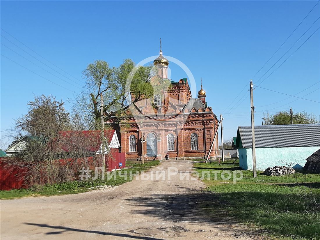 Село Новоберезово Рязанской Области Сасовского Района Фото