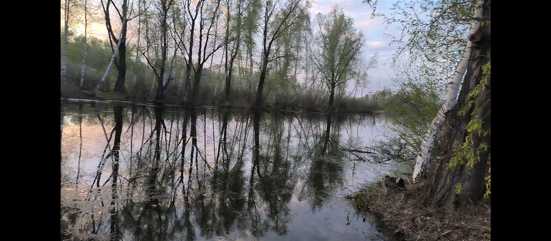 Продам помещение свободного назначения 1000 м.кв.