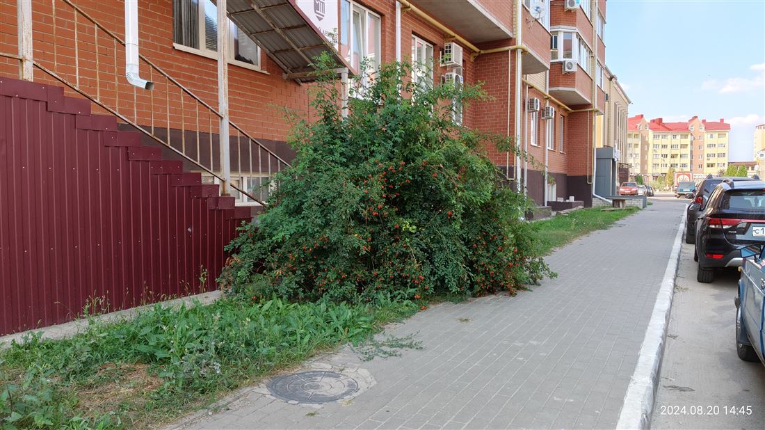 Продам помещение свободного назначения 586.4 м.кв.