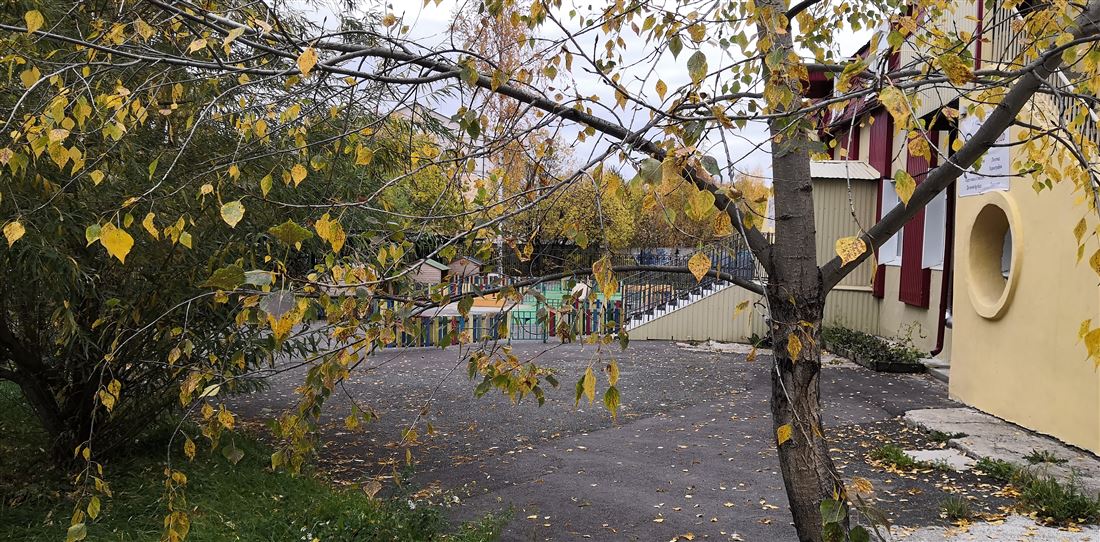 Сдам в аренду помещение свободного назначения 815.5 м.кв.