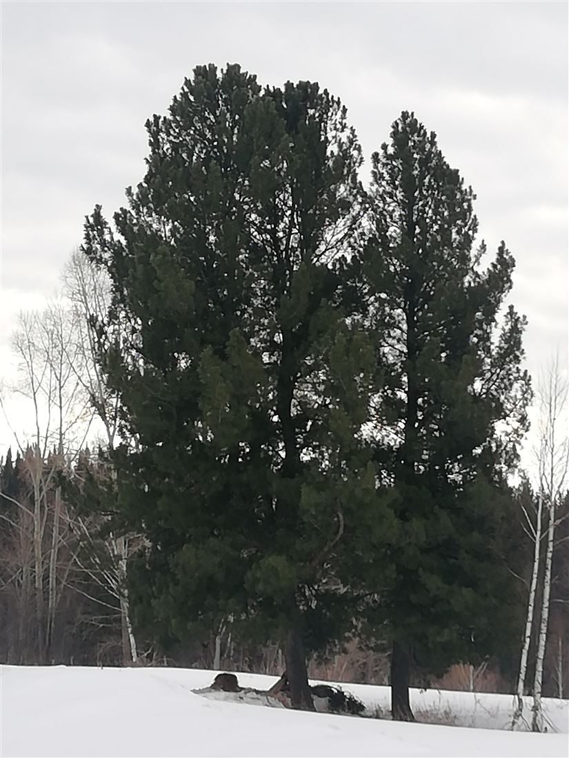 Продам помещение свободного назначения 4450000 м.кв.