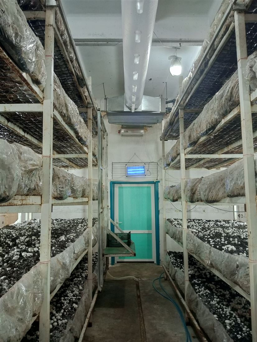 Продам помещение свободного назначения 390 м.кв.