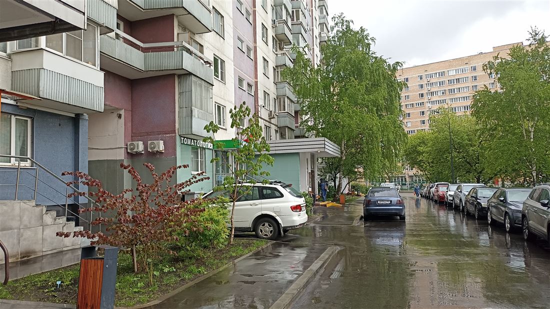 Сдам в аренду помещение свободного назначения 241 м.кв.