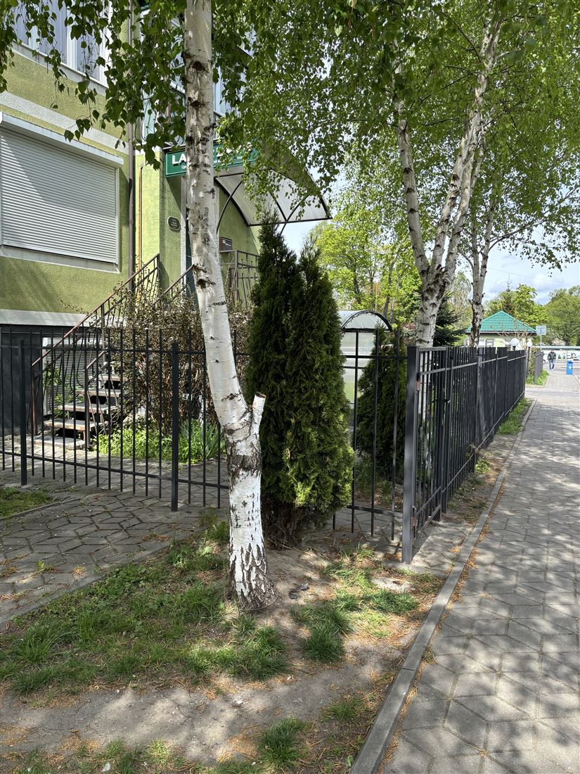 Сдам в аренду помещение свободного назначения 18 м.кв.