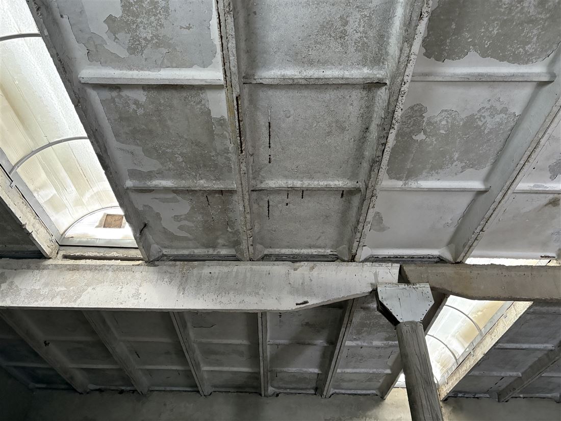 Сдам в аренду помещение свободного назначения 250 м.кв.