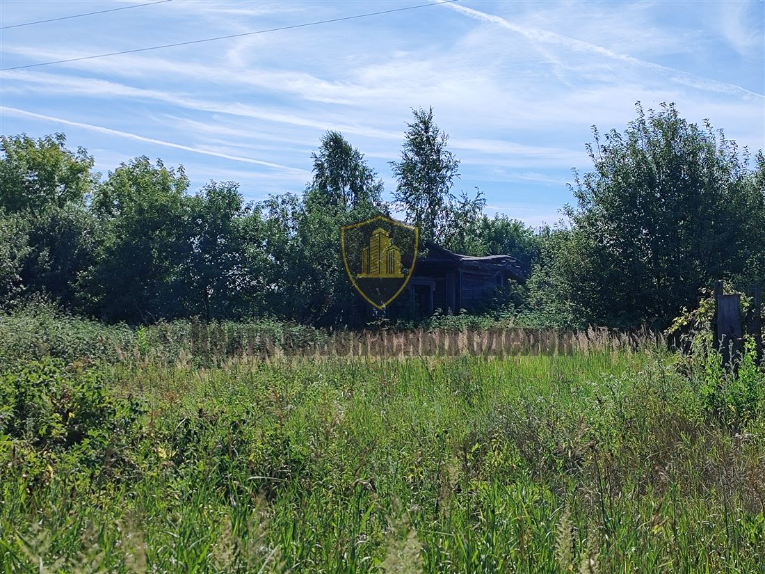 Село Новоберезово Рязанской Области Сасовского Района Фото